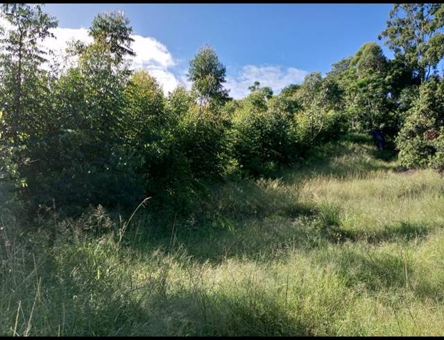 FARM FOR SALE IN RAMSGATE